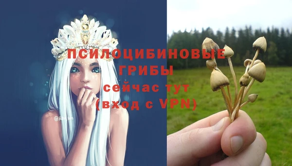 амф Красноперекопск