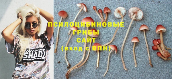 амф Красноперекопск