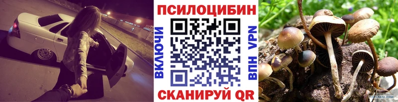 магазин продажи наркотиков  Мамадыш  MEGA как войти  Галлюциногенные грибы Cubensis 